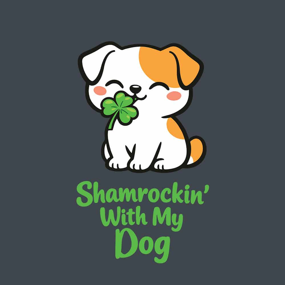 Secondary Product Image