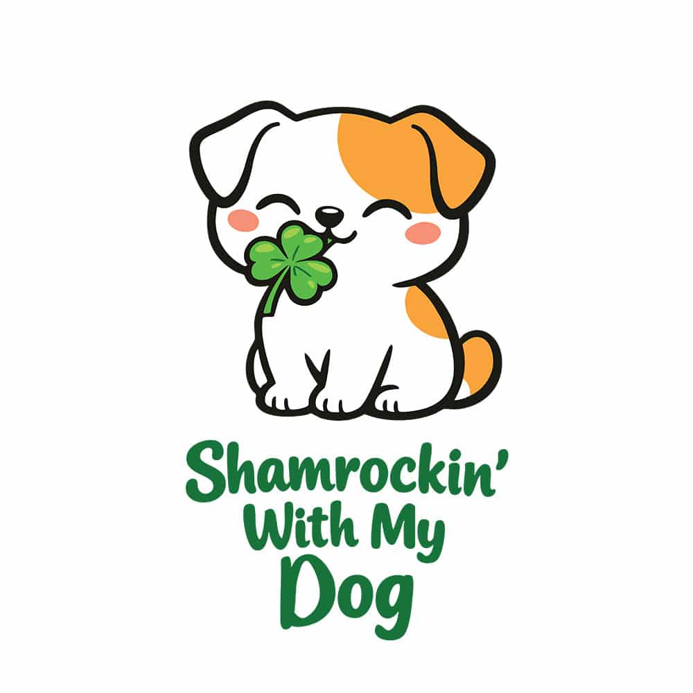 Secondary Product Image