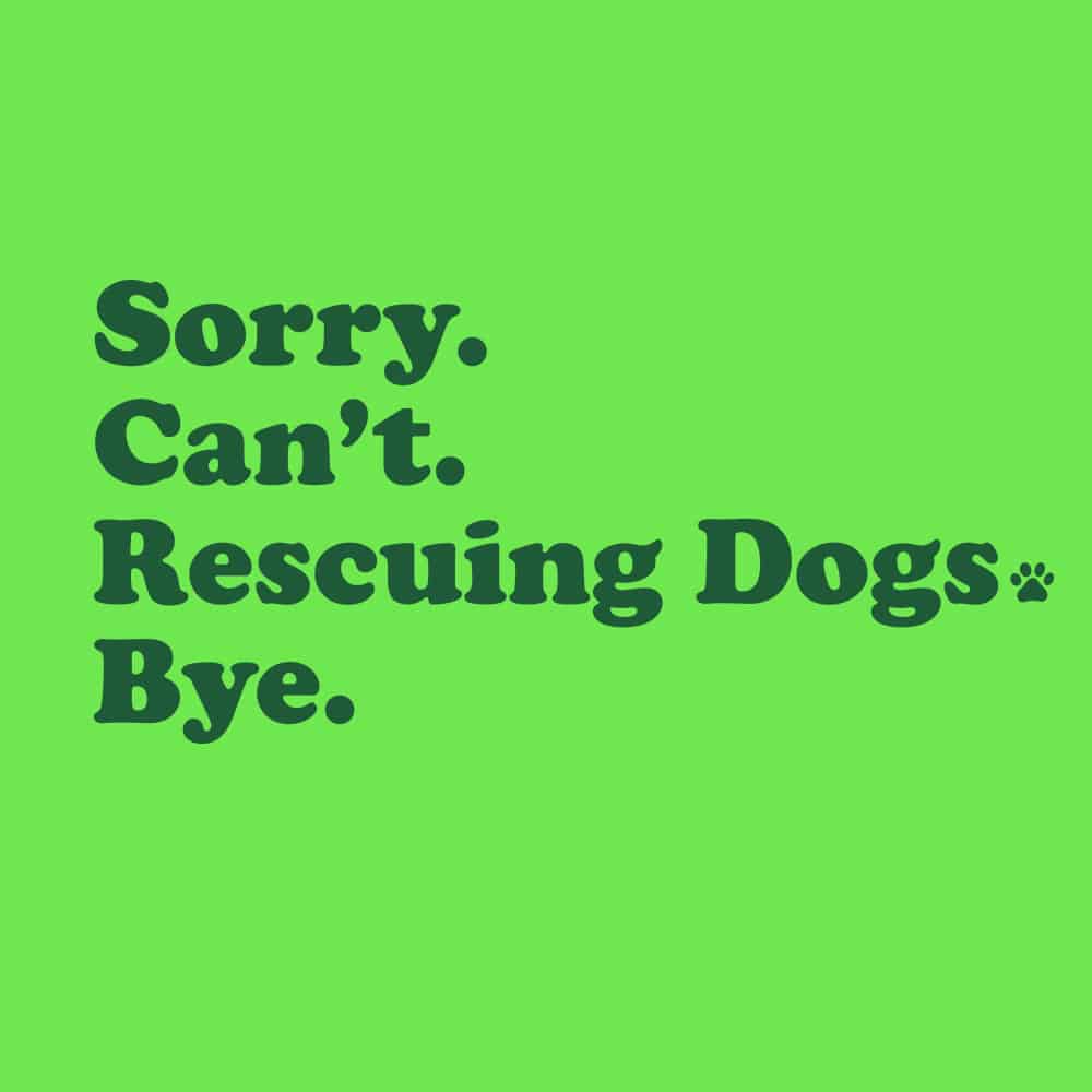 Secondary Product Image