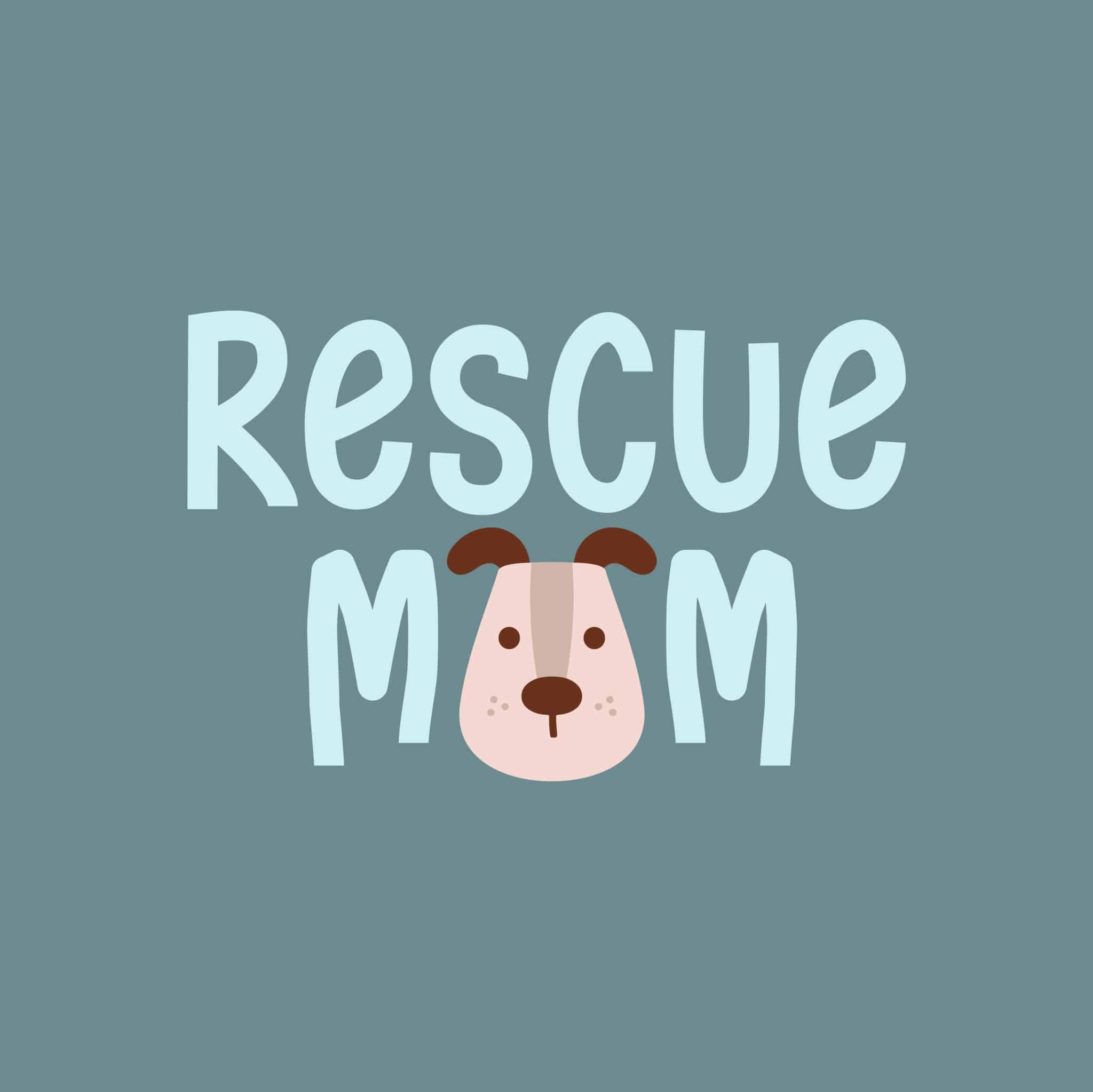 Secondary Product Image