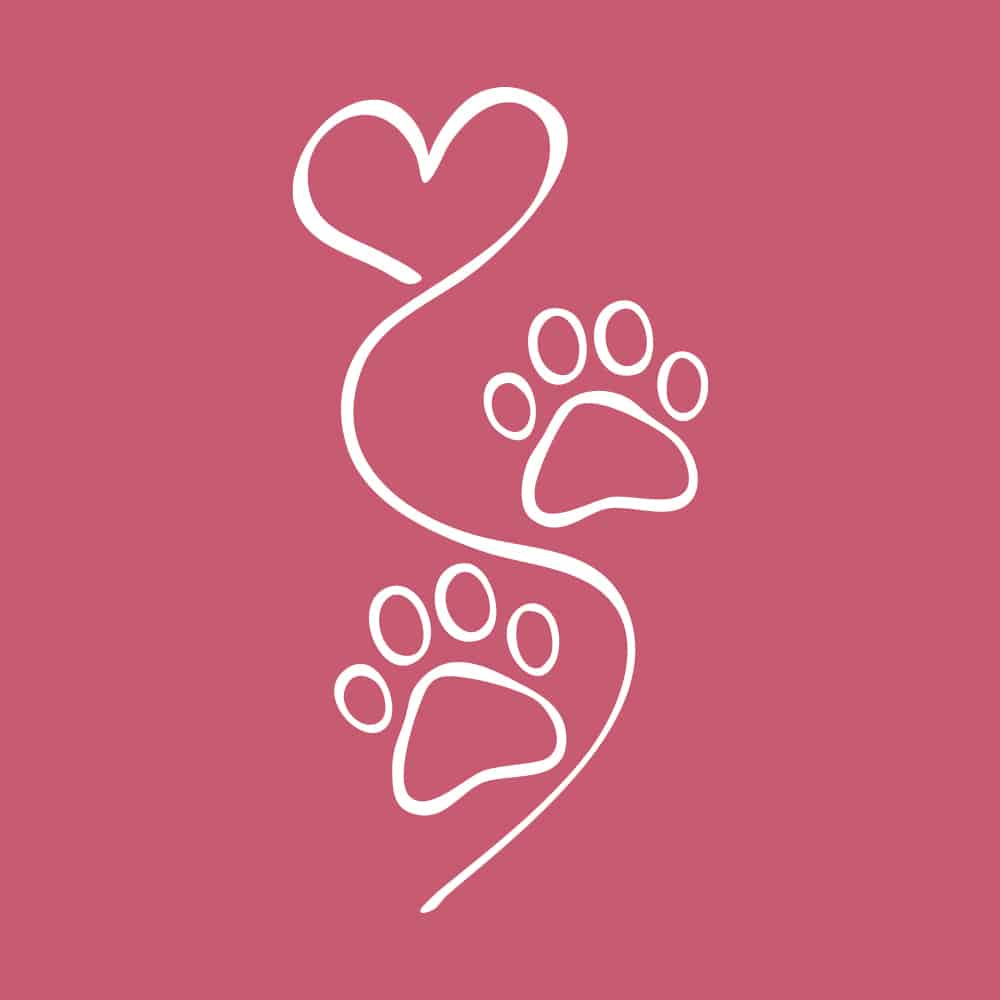 Secondary Product Image