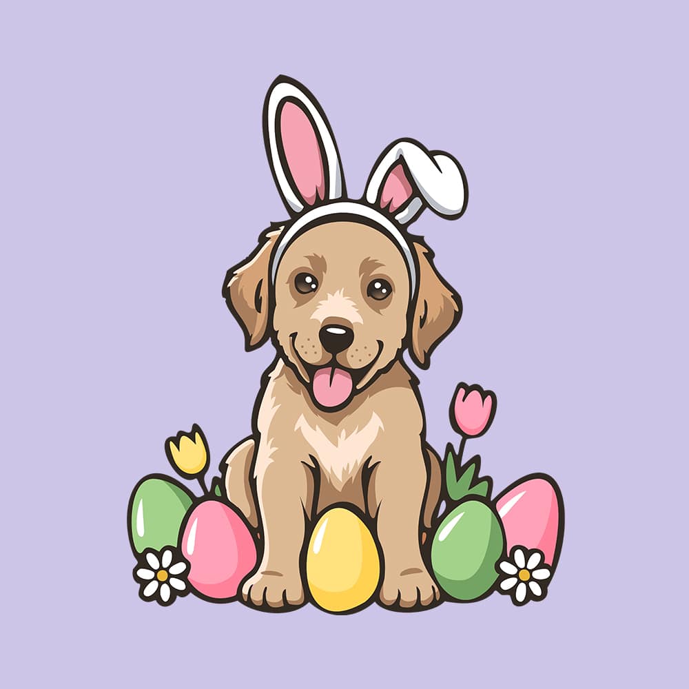 Secondary Product Image