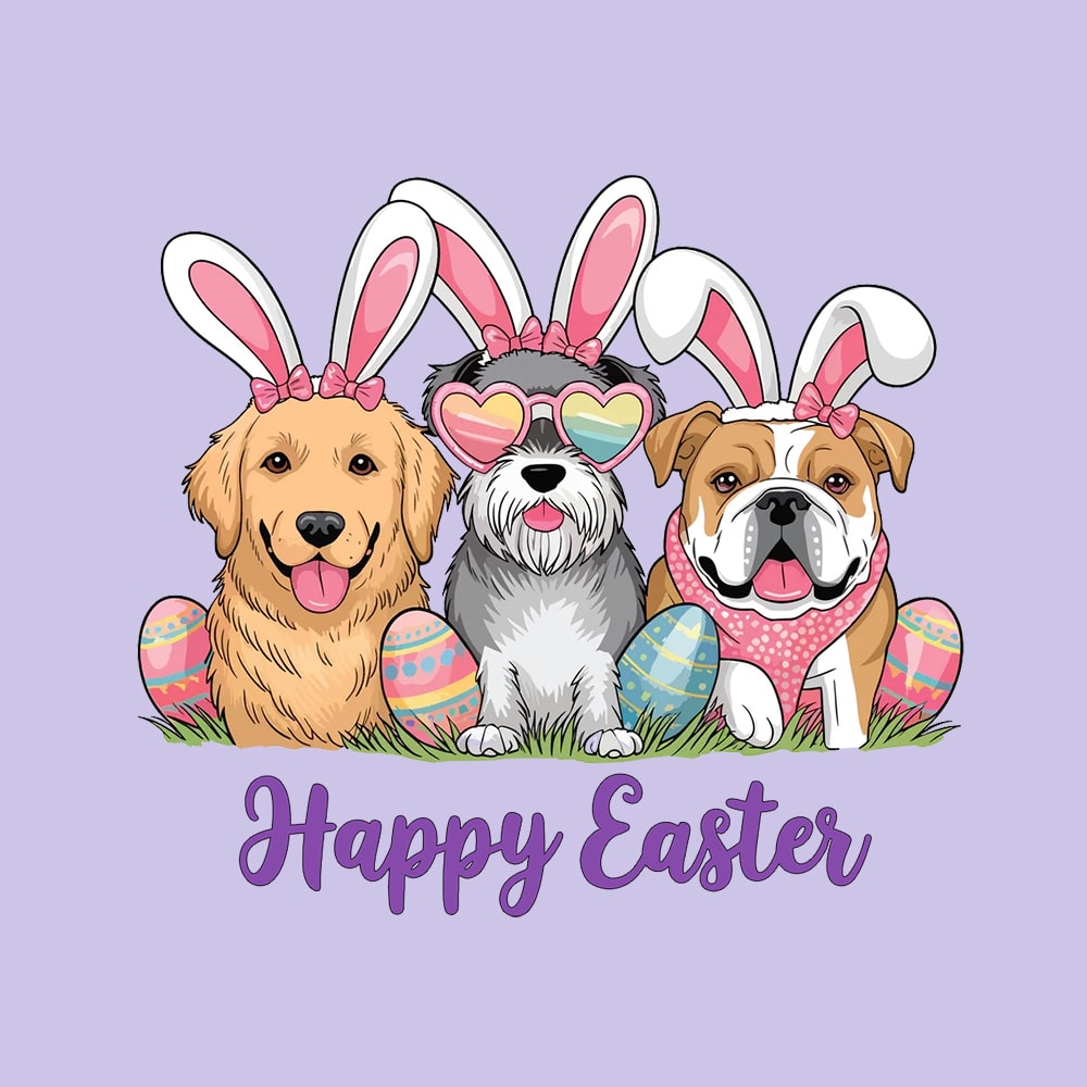 Secondary Product Image