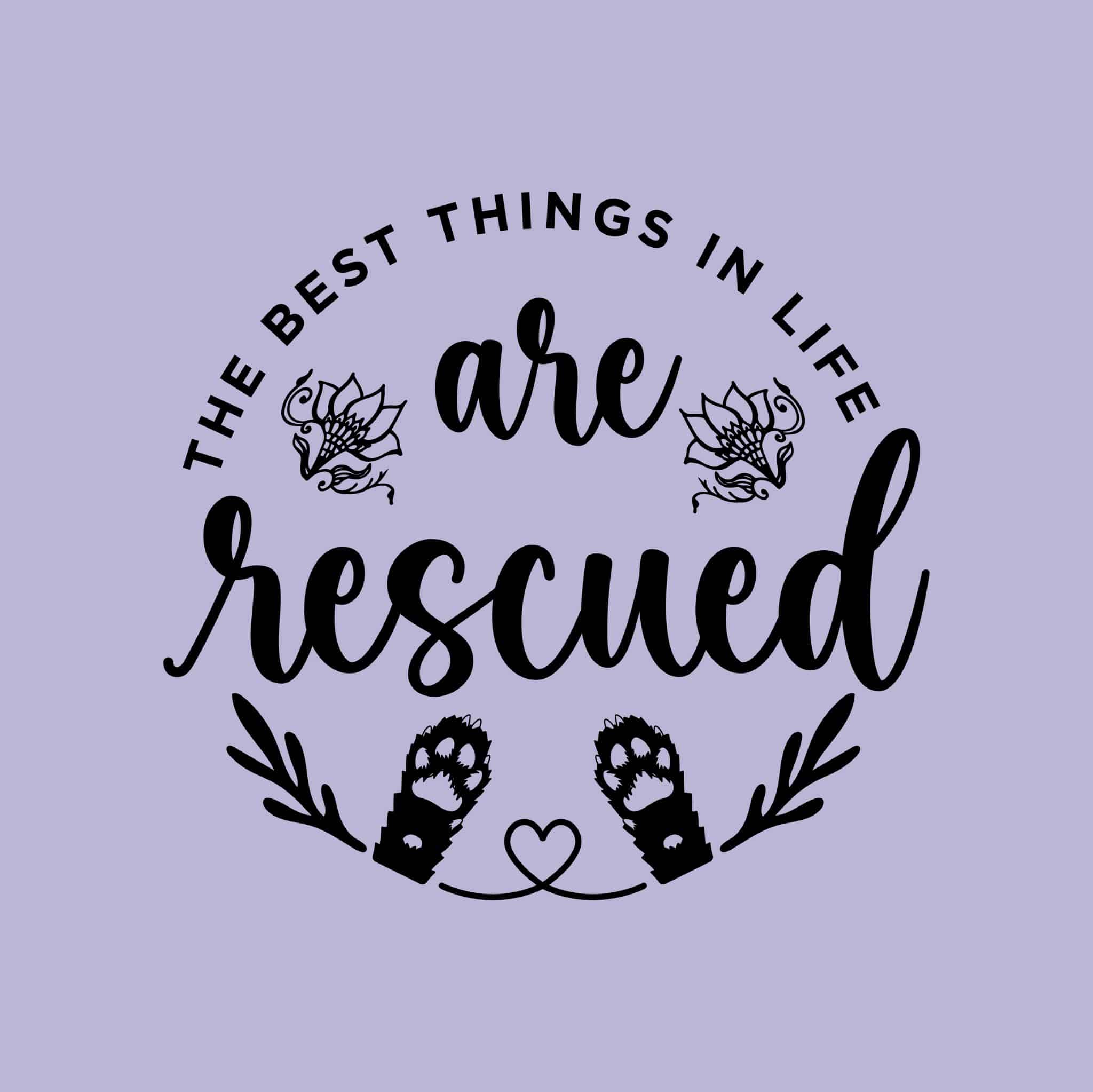 Secondary Product Image