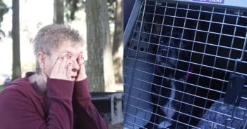 Dog reunion after wildfire