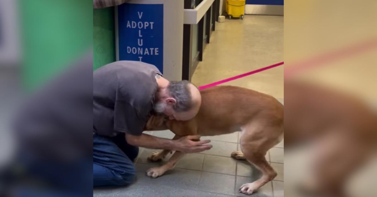 Cancer Survivor Reunites With The Dog He Once Had To Give Up