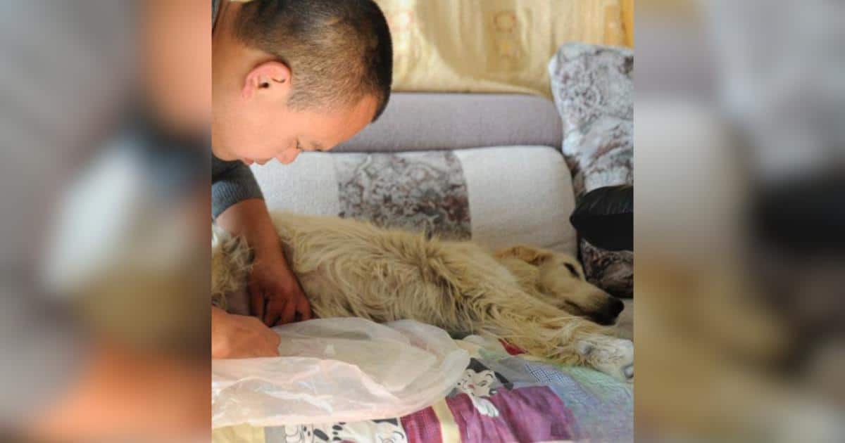 This Dog-Loving Businessman Sold Everything To Rescue More Than 2,000 Dogs