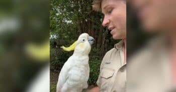 Robert Irwin with Occa