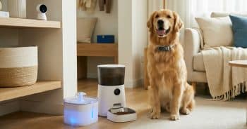 PetWireDaily — 15 Smart Dog Tech Finds That Help Keep Your Pup Safe & Healthy