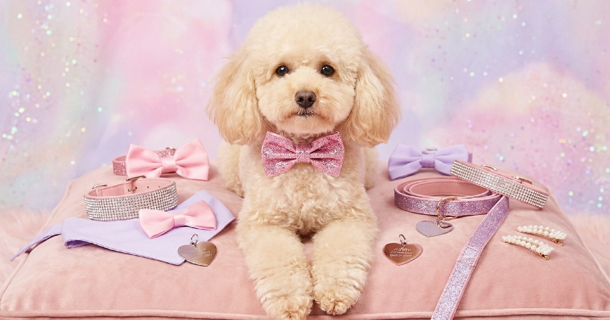 13 “Girly Pop” Dog Accessories That Are Too Cute