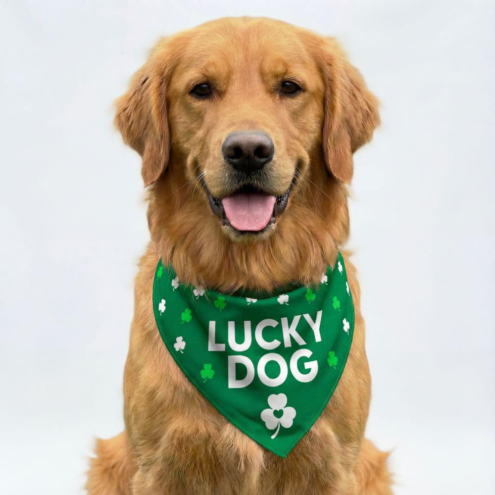 Lucky Dog Bandana (S, M, L) - Helps Feed Shelter Dogs In Need - Image 4