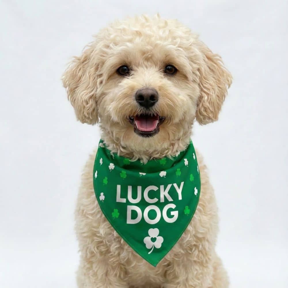 Lucky Dog Bandana (S, M, L) - Helps Feed Shelter Dogs In Need - Image 3