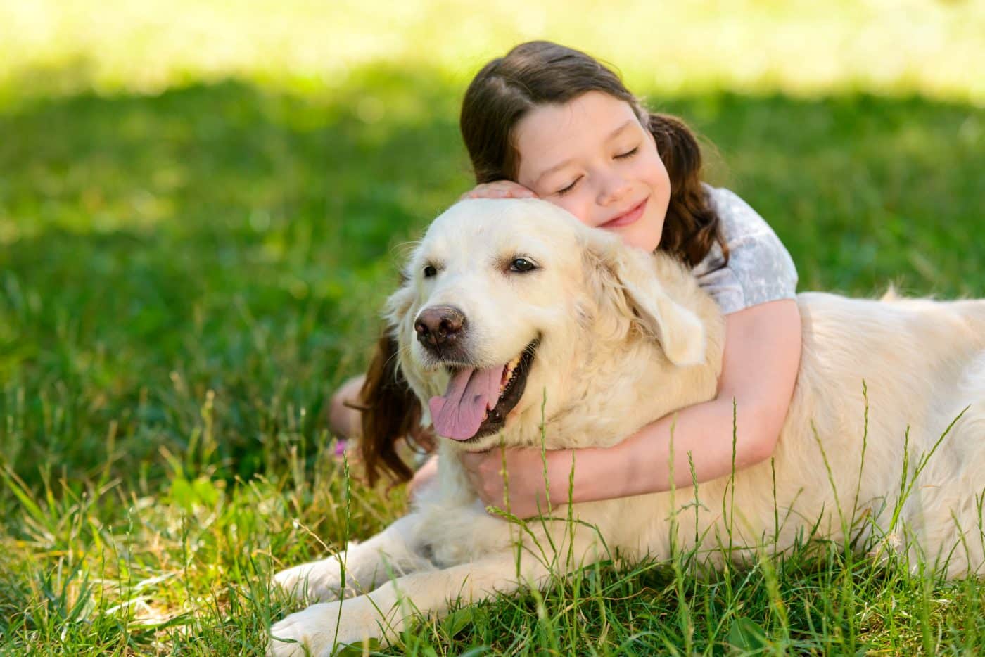 A devoted dog showing calm loyalty and gentle emotional connection