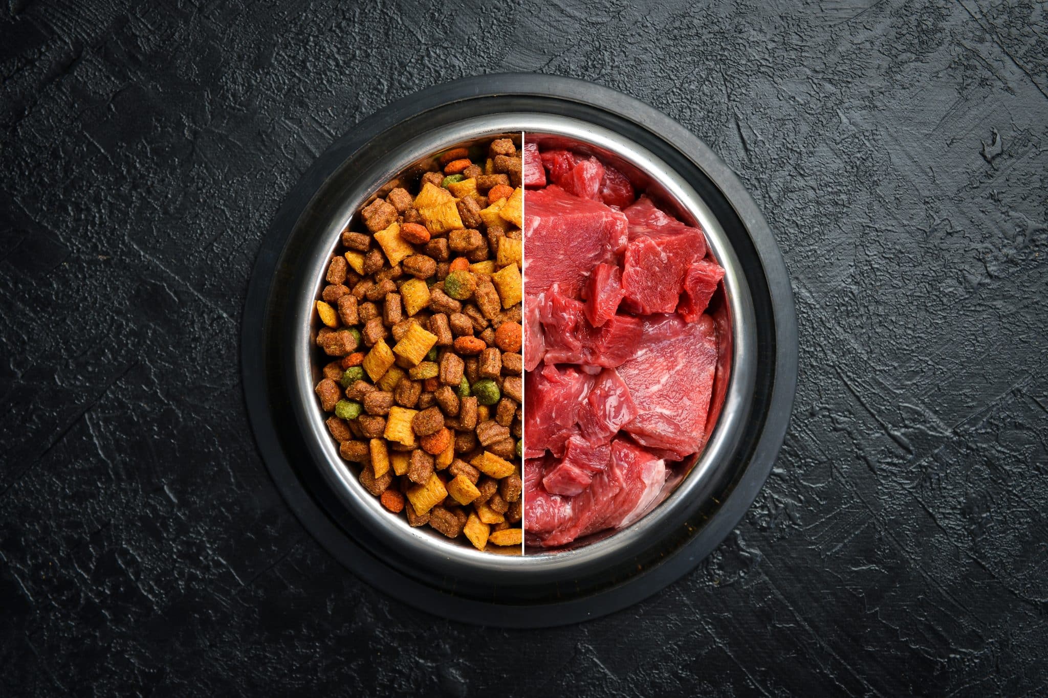bowl of dog food and meat