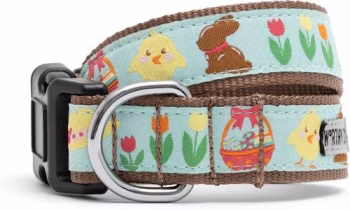 The Worthy Dog Hoppy Easter Dog Collar,