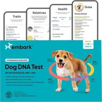 Embark Breed & Health Dog DNA Test Kit
