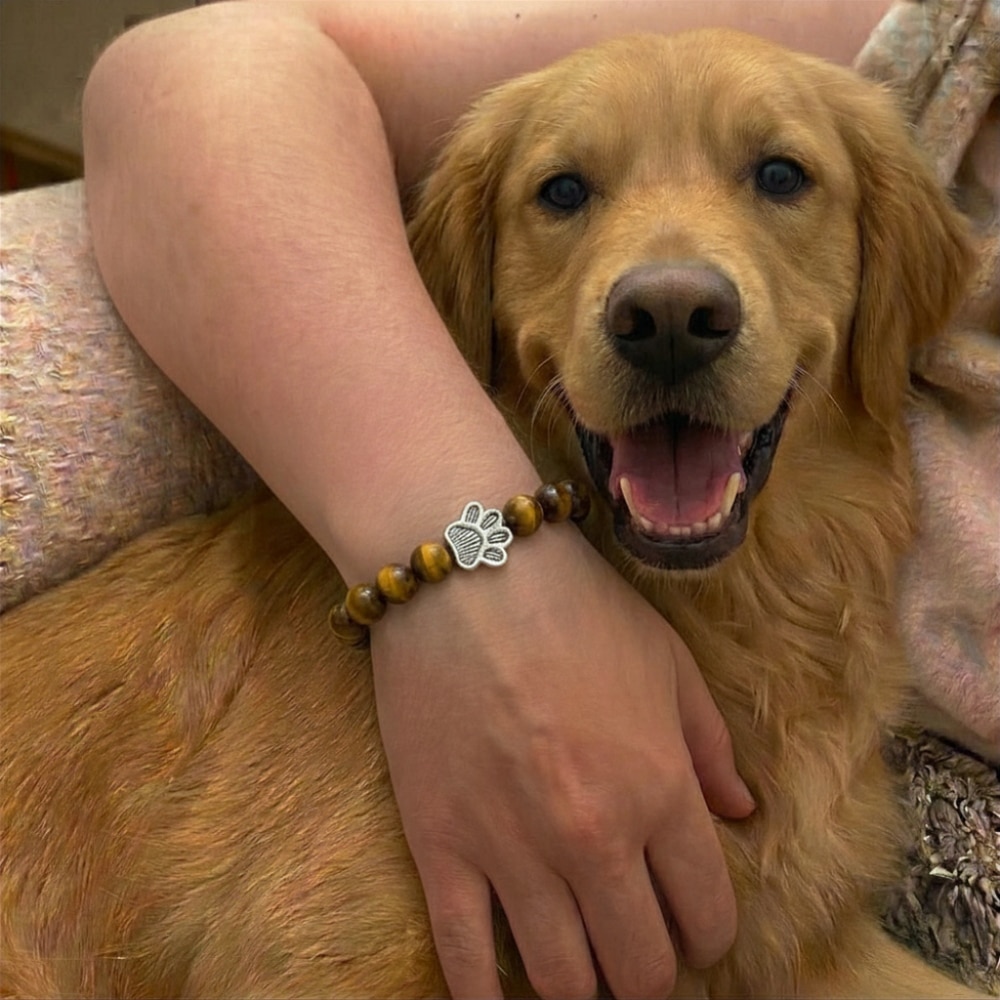 Paw Print Beaded Stretch Bracelet - Brown Tigers Eye - Image 2