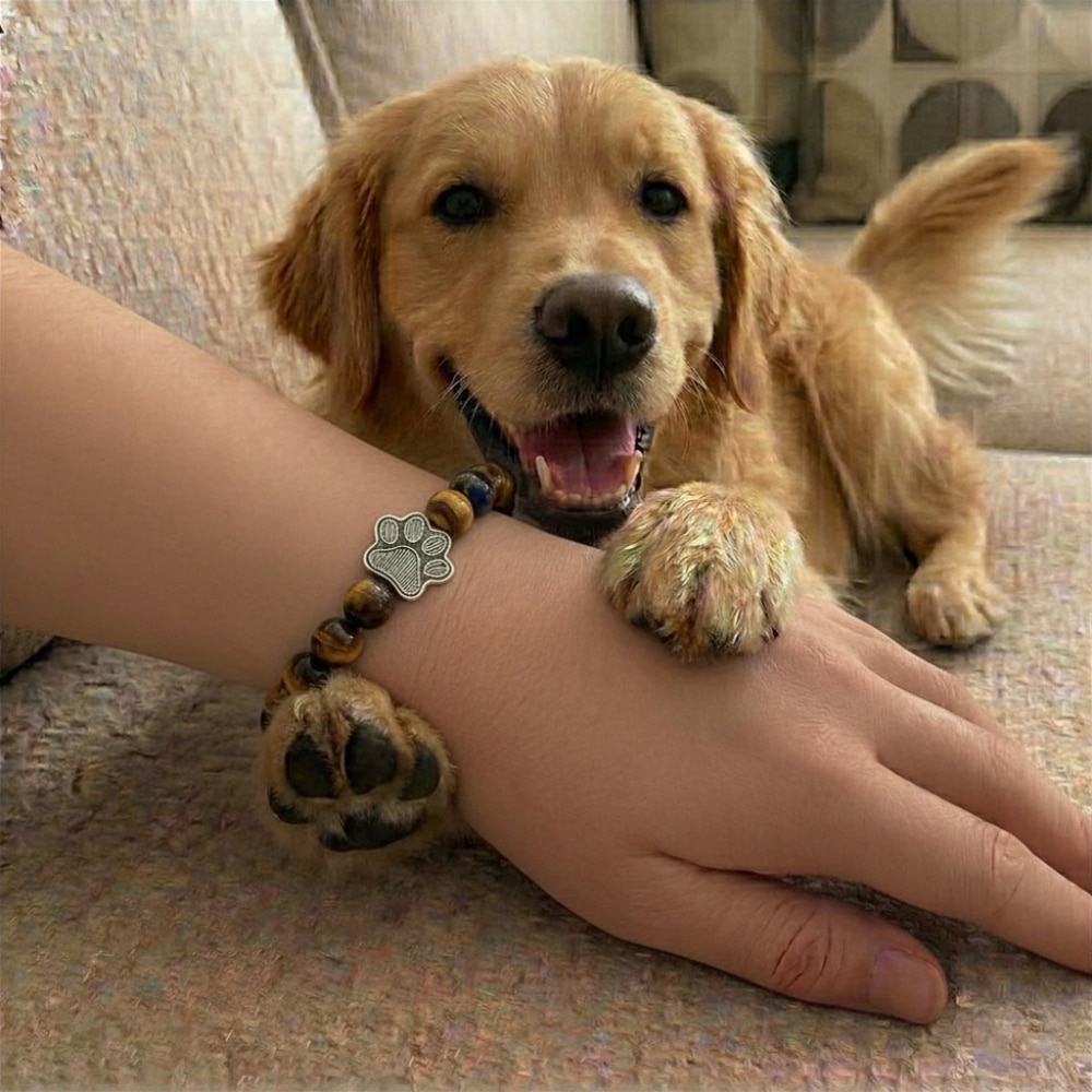 Paw Print Beaded Stretch Bracelet - Brown Tigers Eye - Image 3