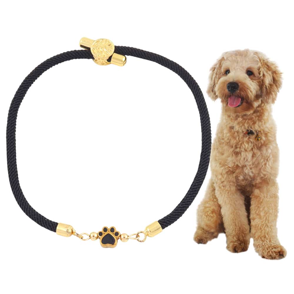 Forever Paw Adjustable Bracelet- Black
