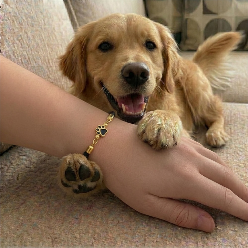 Forever Paw Adjustable Bracelet- Black - Image 4