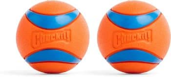 Chuckit! Ultra Ball Dog Toy