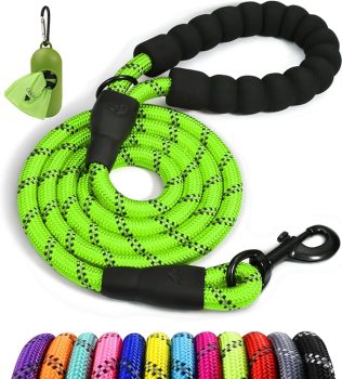 Taglory Rope Dog Leash 4 FT