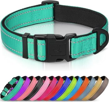 Joytale Reflective Dog Collar