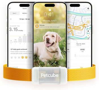 Petcube GPS Tracker for Dogs