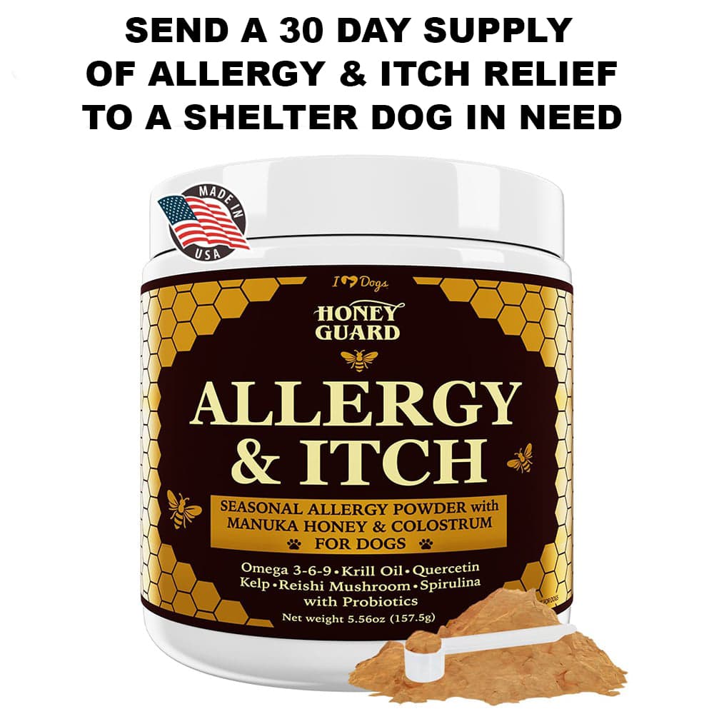 SOLD OUT! Send 30 Days of Honey Guard Allergy & Itch Powder Supplement to Help A Rescue Dog In Need
