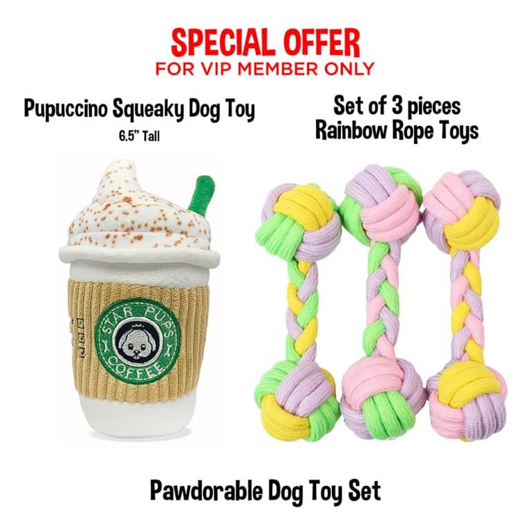 VIP Members Only -MEGA DEAL! Pupuccino Squeaky Dog Toy and Rainbow Pastel Knotted Rope Dog Toys- Set of 3