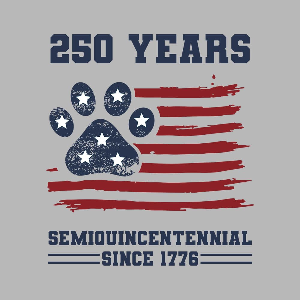 USA Semiquincentennial Standard Tee Heather Grey - Image 2