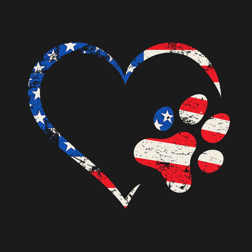 Secondary Product Image