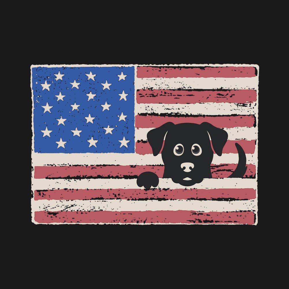 Secondary Product Image