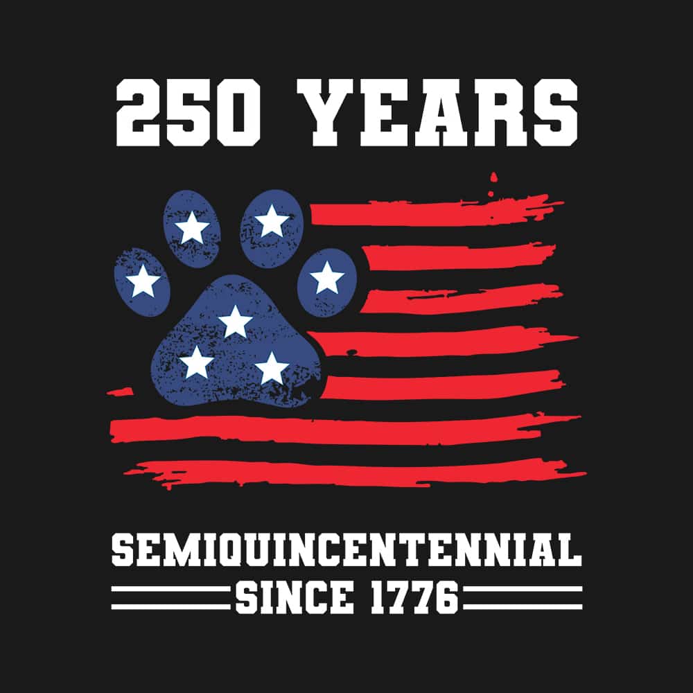 Secondary Product Image