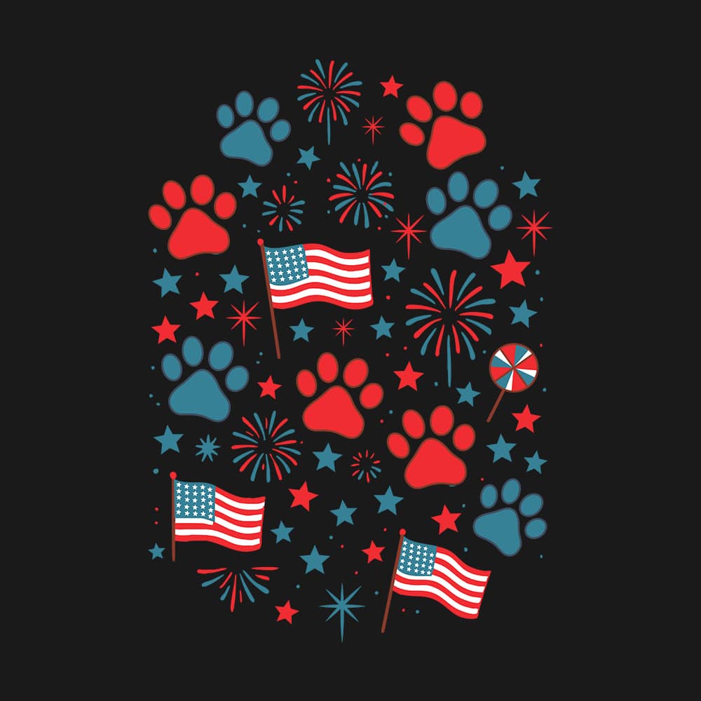 Stars, Stripes & Paw Prints Standard Tee Black - Image 2