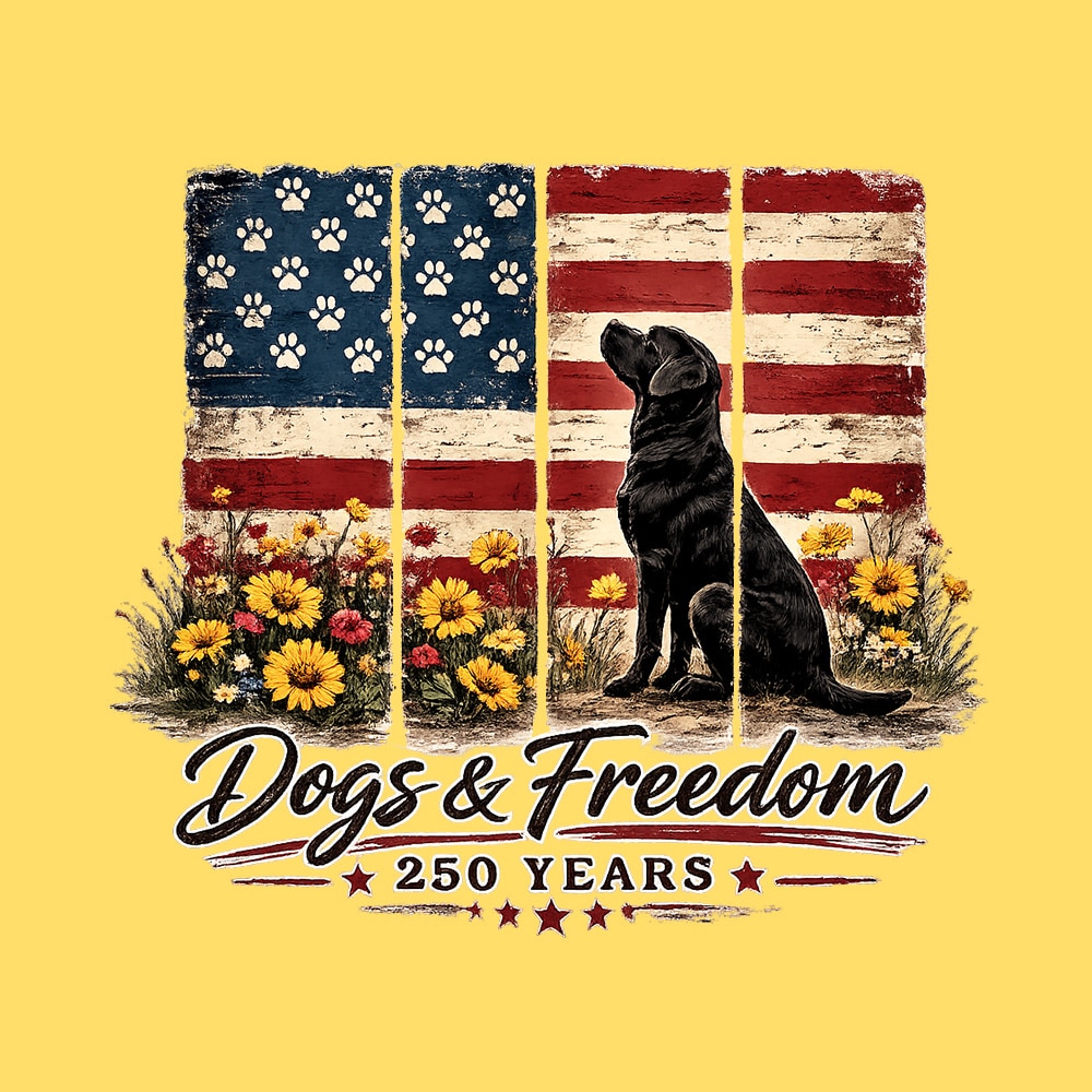 Secondary Product Image