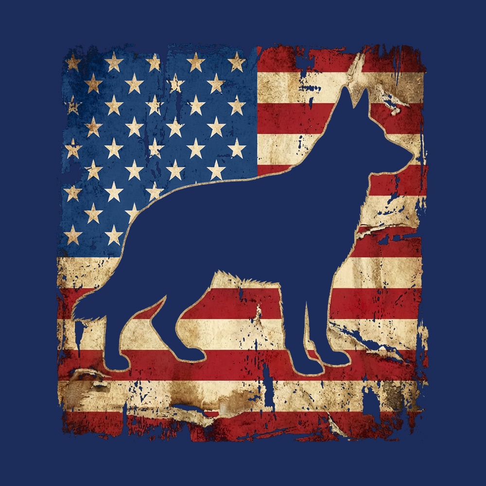 Secondary Product Image