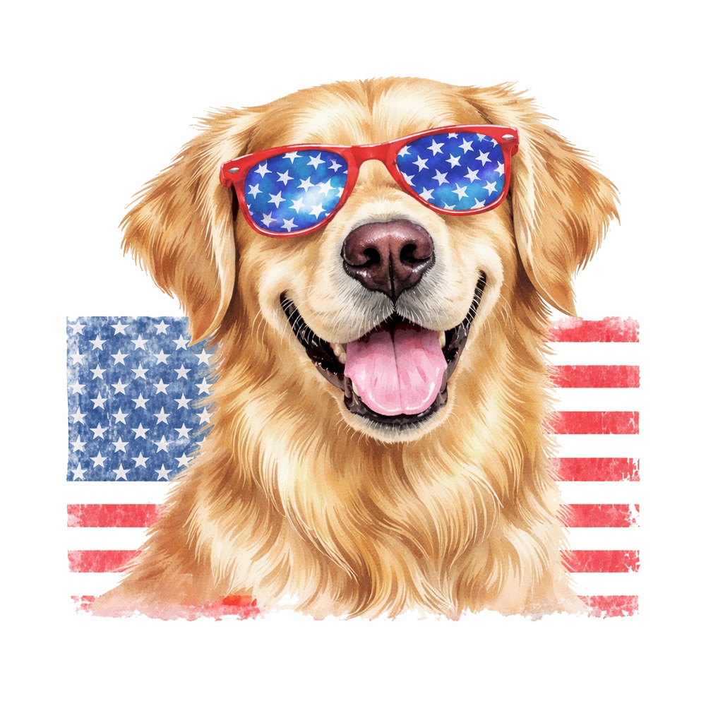 All-American Golden Standard Tee White - Image 2