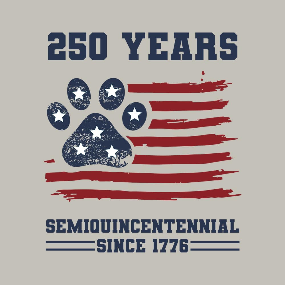 Secondary Product Image