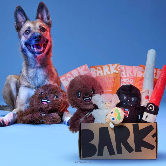 A Shepherd mix dog laying alertly with a Chewbacca toy, beside a BarkBox filled with Star Wars toys and treats