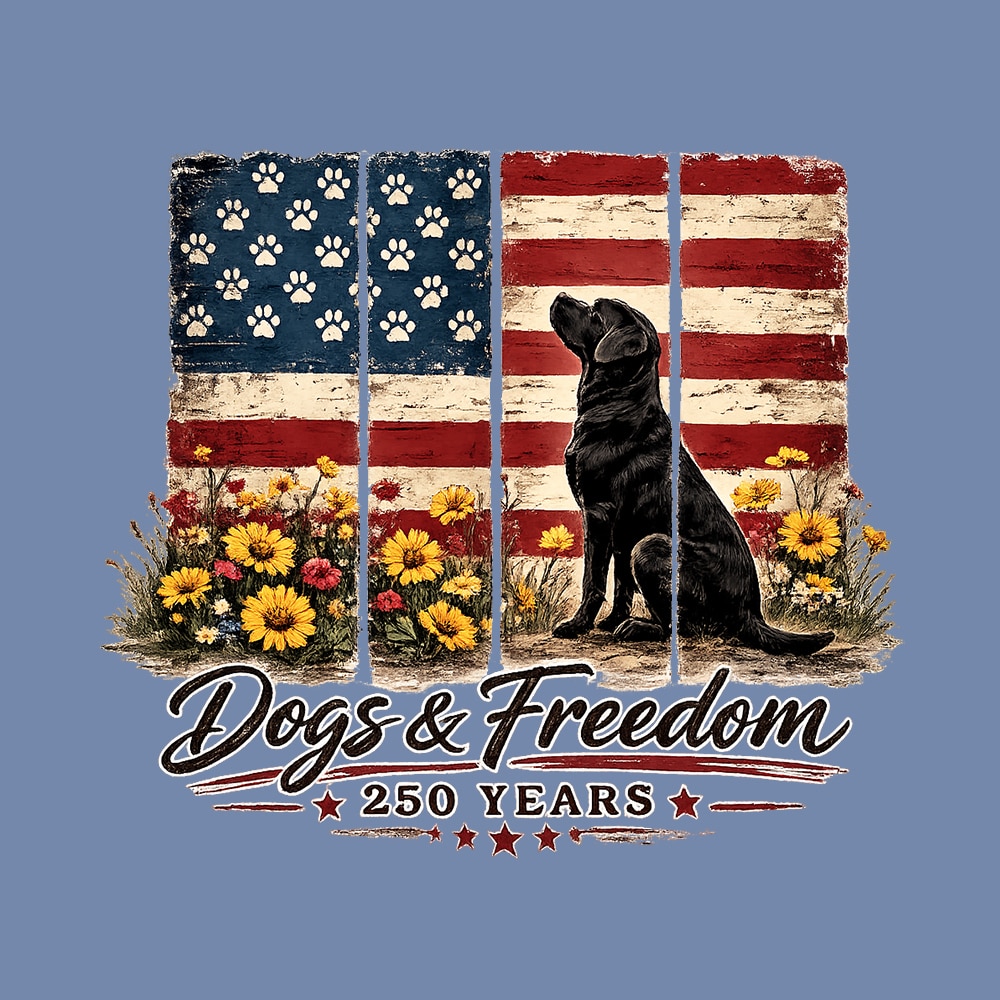 Secondary Product Image