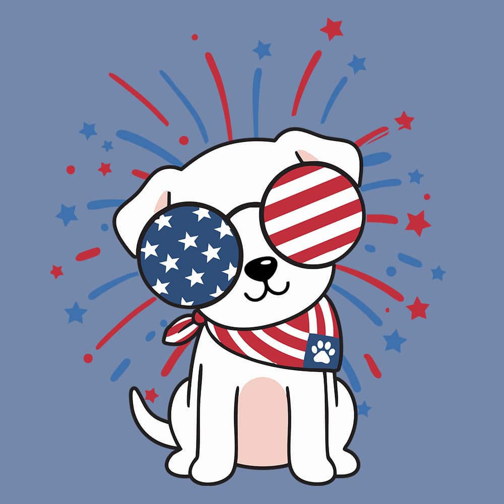 Secondary Product Image