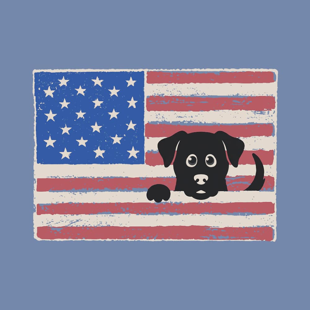 Comfort Colors Peek-a-Boo Patriot Dog Vintage Washed Tee - Blue Jean - Image 2