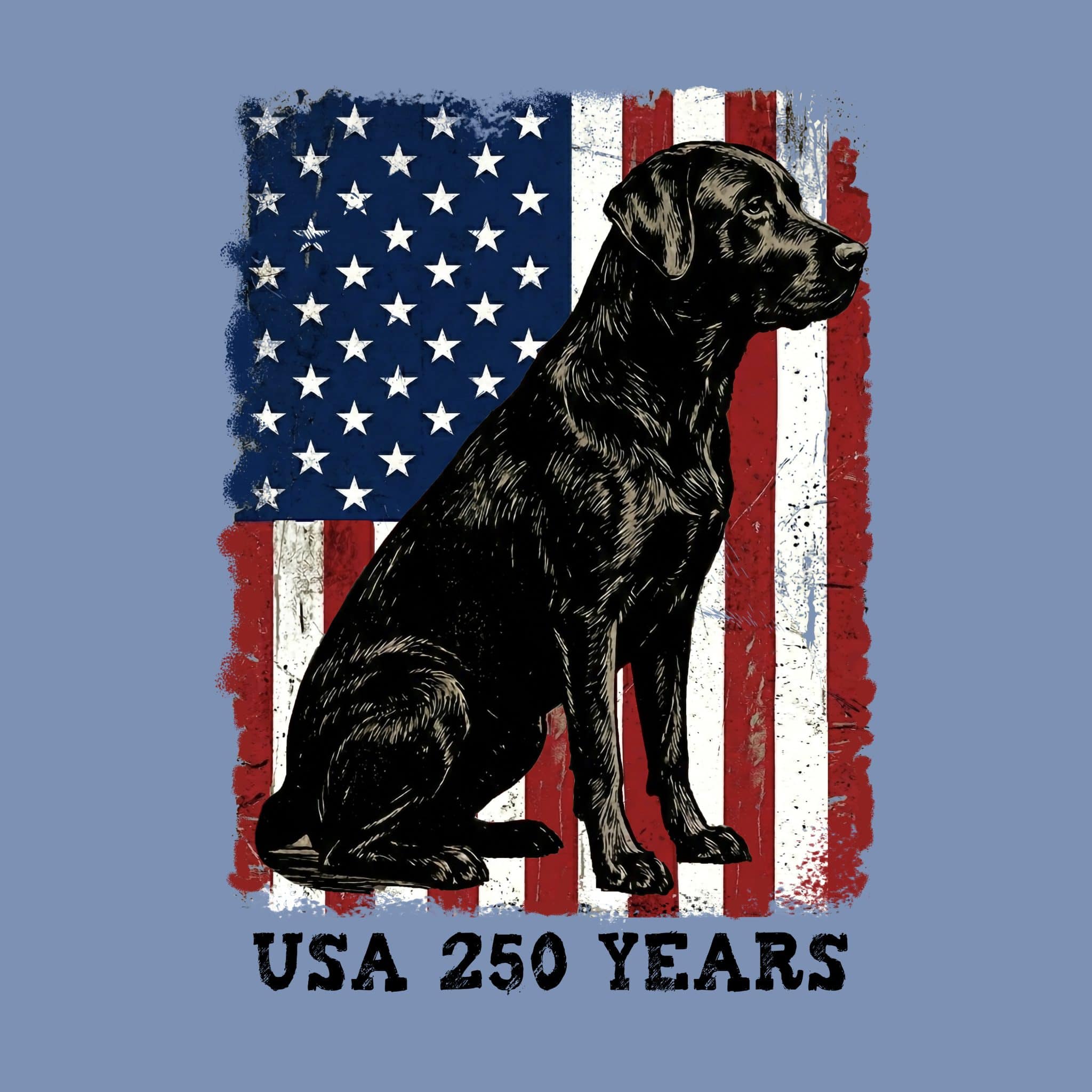 Secondary Product Image