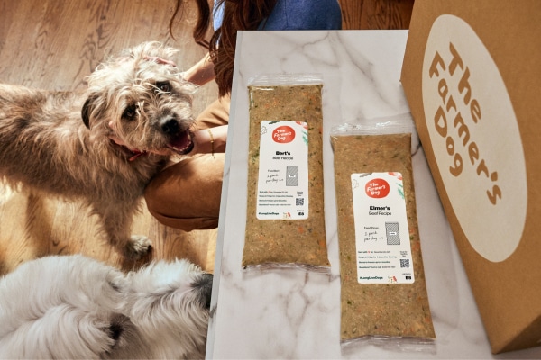 A delivery box of The Farmer's Dog fresh dog food and two packets of the food it on a white marble countertop as a shaggy gray dog and a white long-haired dog gaze up at it.