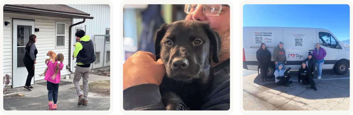 Group 213 (1) Group 213 (1)