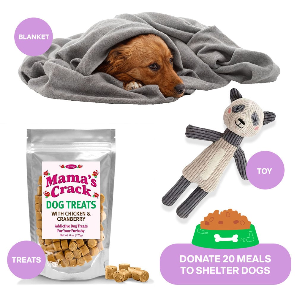 COMING SOON! Spring Break Rescue Roadtrip Care Packages