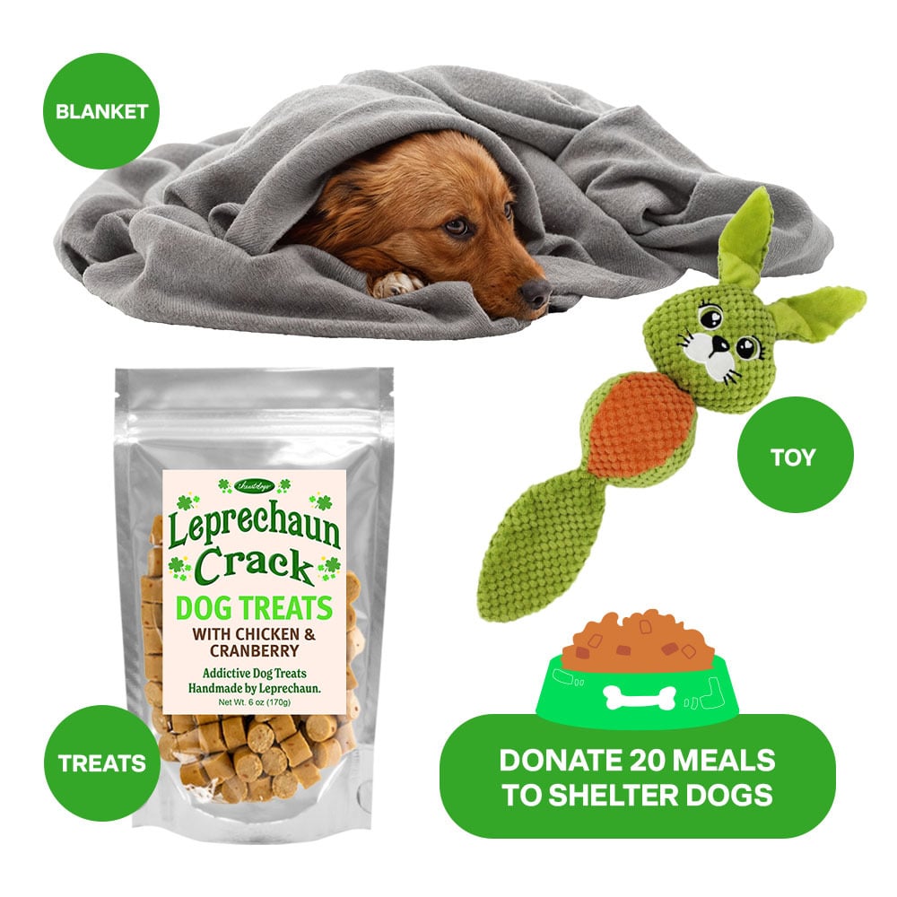 Sold Out! Dog Rescue Road Trip