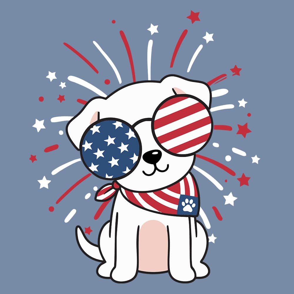 Secondary Product Image