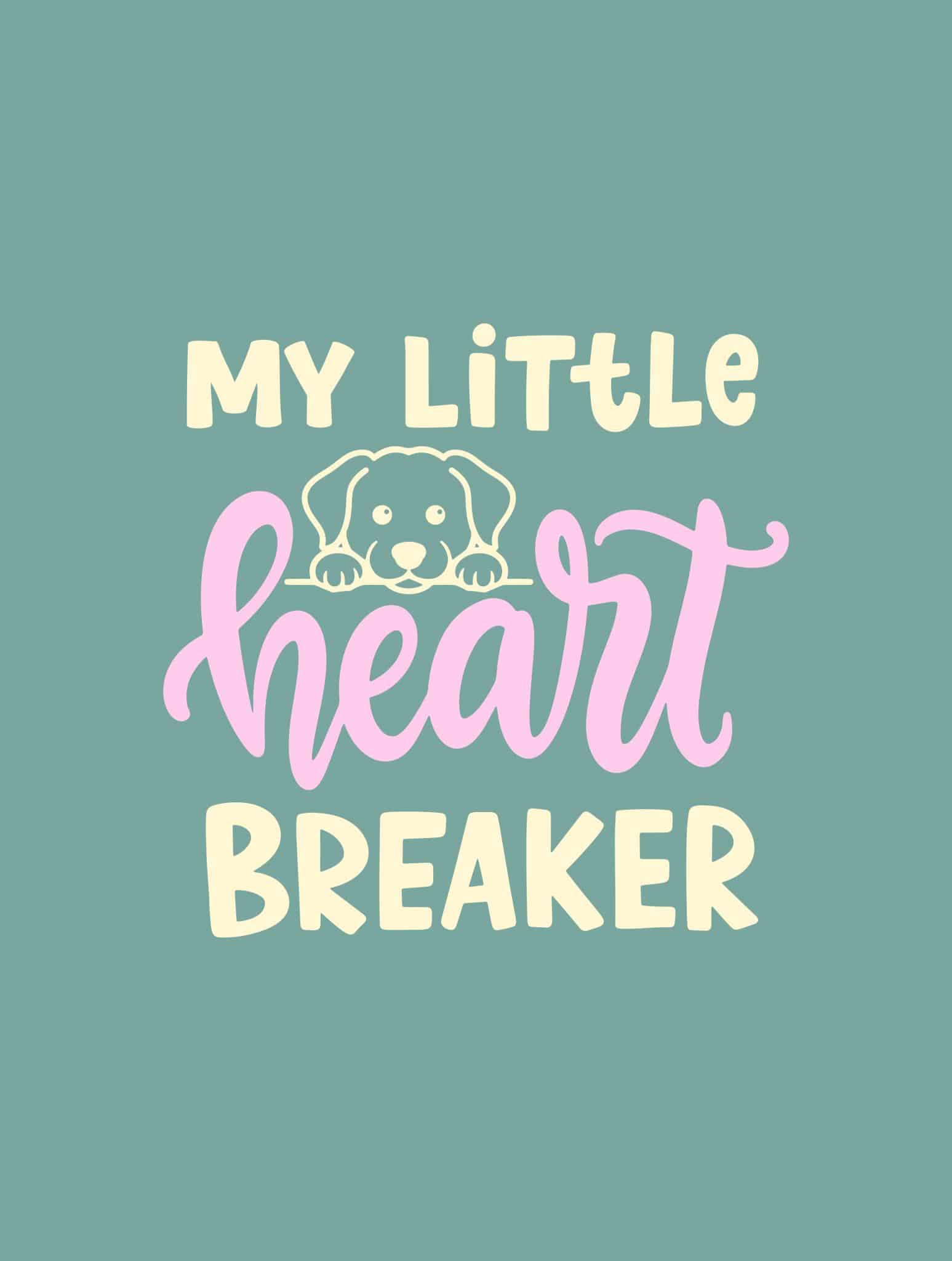 Secondary Product Image